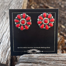 Load image into Gallery viewer, Coral
